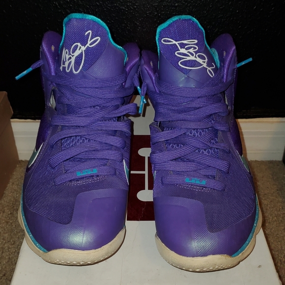 Lebron 9 Hornets, size 8.5 - Picture 3 of 5